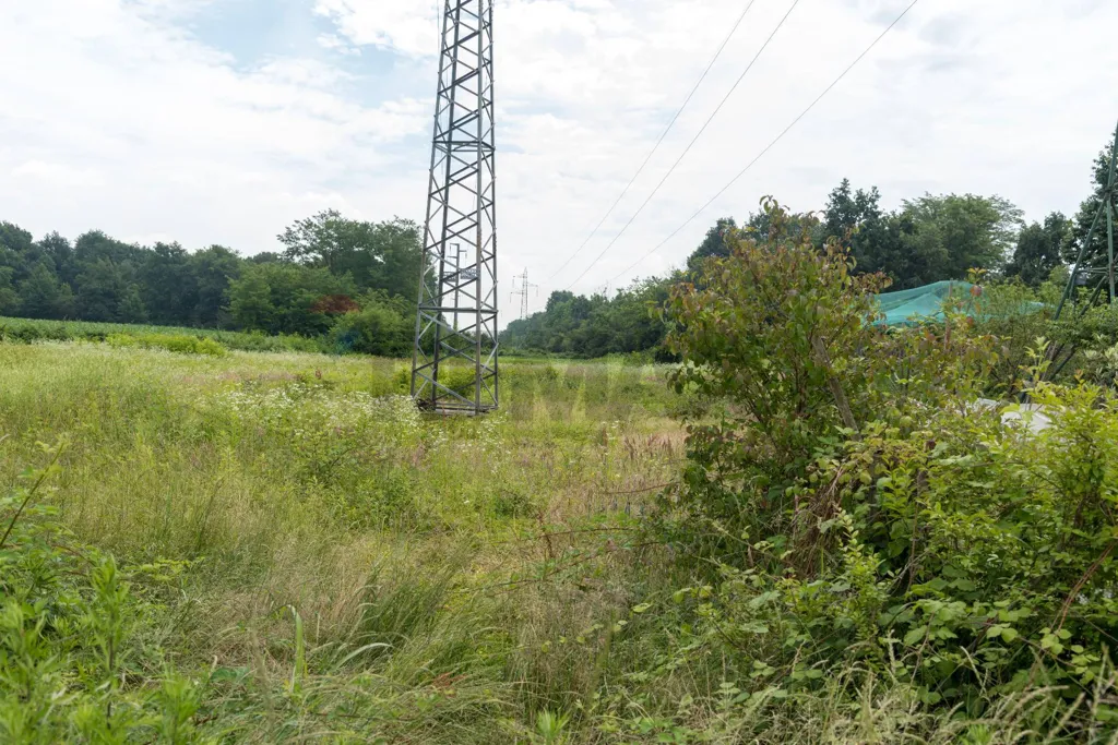 Aed - Agricultural Land with Forest in Calusco d'Adda