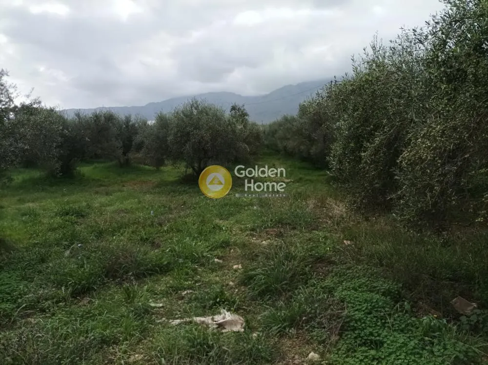 Aed - Buildable Plot with Sea View in Aprovouna, Chania