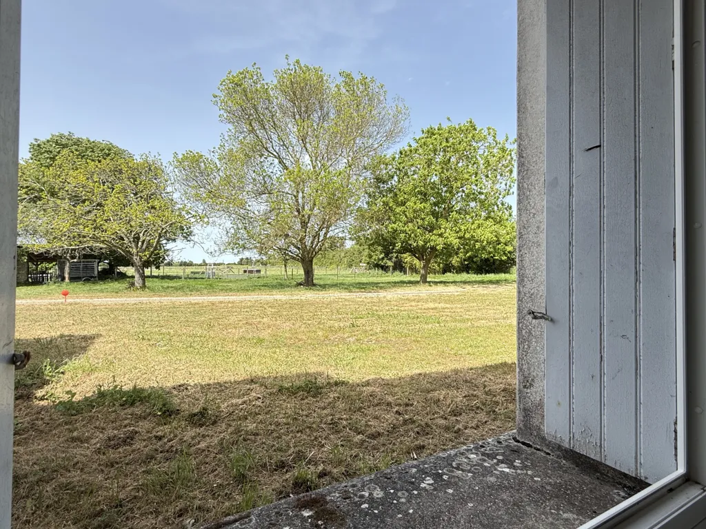 Toad - Character House with Sea Proximity in Fouras