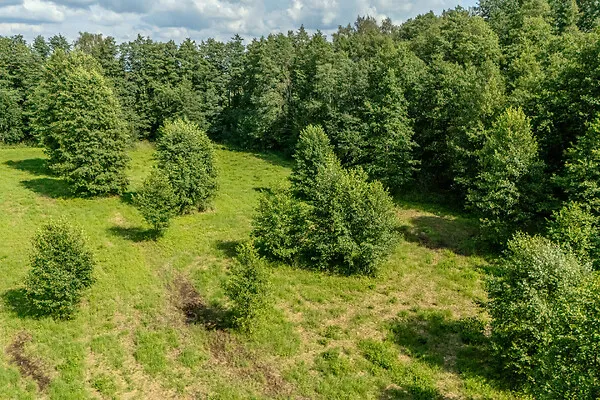 Jardin - Development with Sea View in Paslepa, Lääne-Nigula