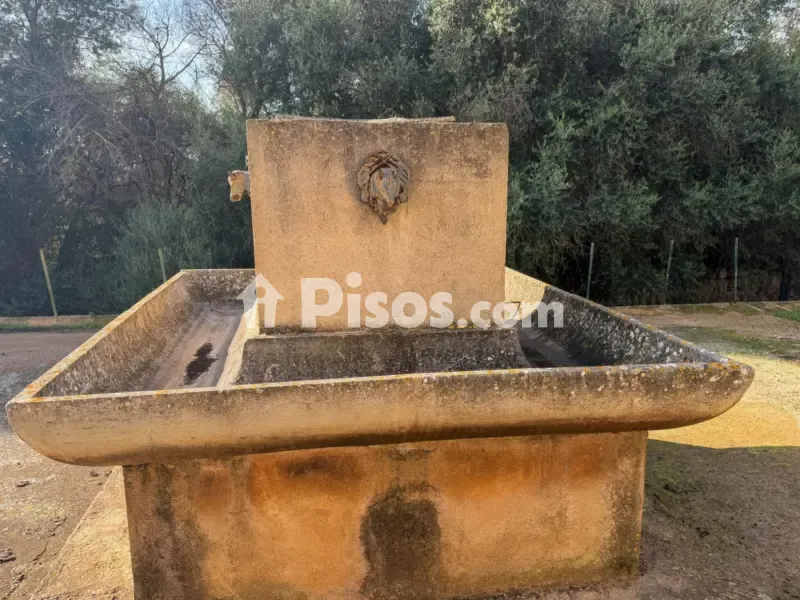 Jardin - Historic Mallorcan Estate with Panoramic Views, Manacor