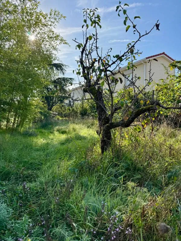 Jardin - Maison avec Terrain Constructible à Chassieu