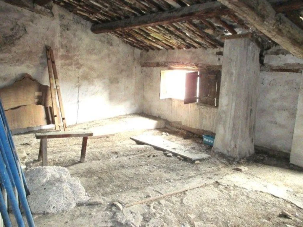 Toad - Historic Town House with Stables in Abizanda-Naval