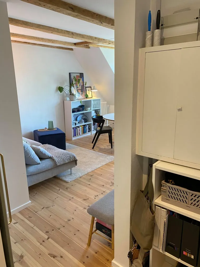 Elutuba - Renovated 3-Bedroom Flat in Aalborg Centre