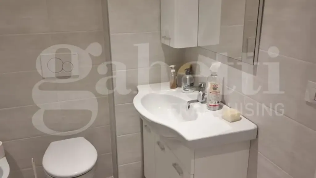 Bathrooms - Modernised Apartment with Disabled Access in Savona