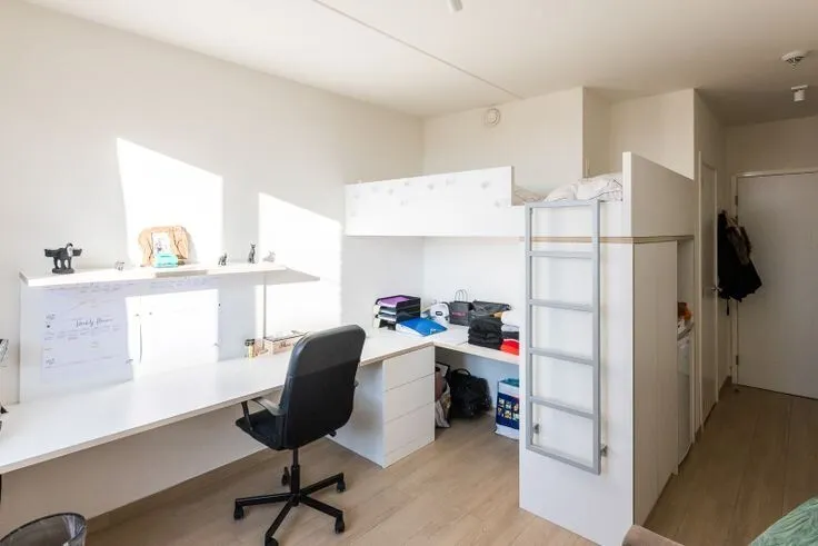 Magamistoad - Apartment with City Centre Proximity in Hasselt