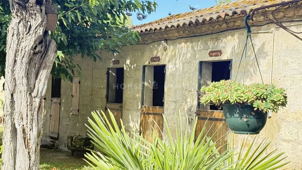 Jardin - Maison de Luxe avec Installations Équestres à Montpellier