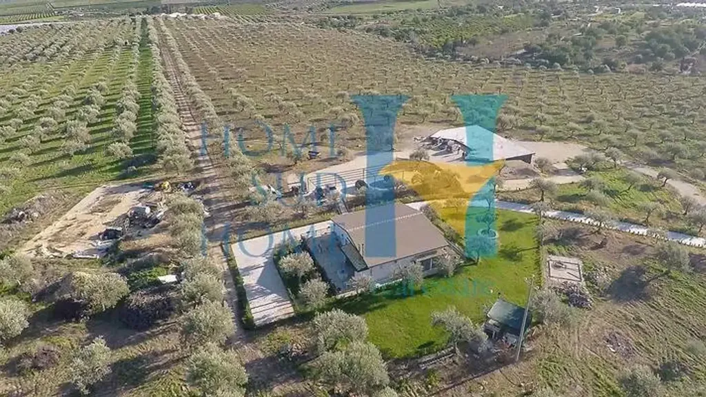 Aerial - Villa with Olive Grove in Noto