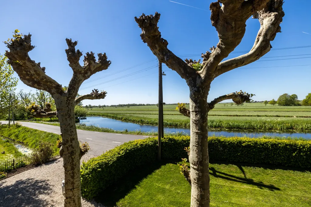 Aed - Nostalgic Farmhouse with Polder Views in Vlist