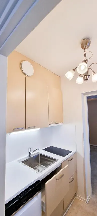 Cuisine - Modernised Flat with Garden in Lahti