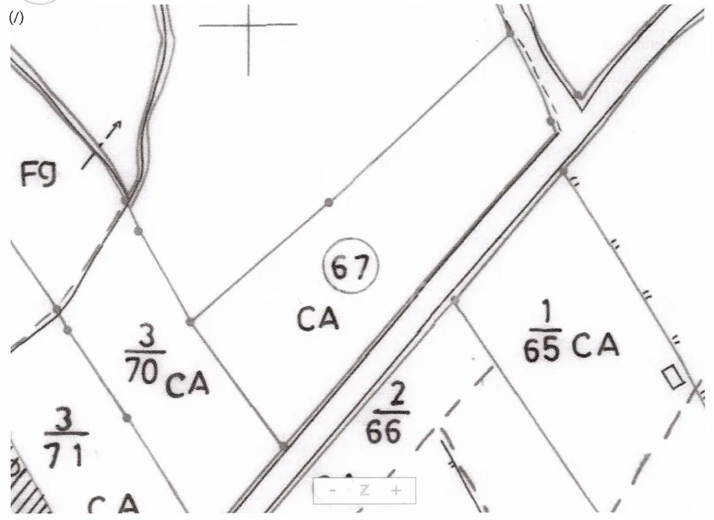 Plaan - Delimited Land with Fruit Trees near Lagos