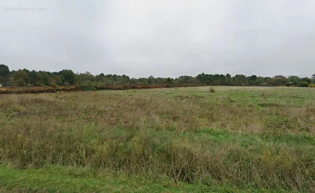 Giardino - 4,400 m² Plot in Pompéjac, Gironde