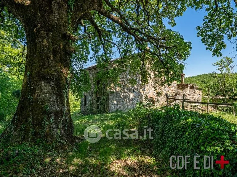Esterno - Rustic Casale to Complete in Montieri