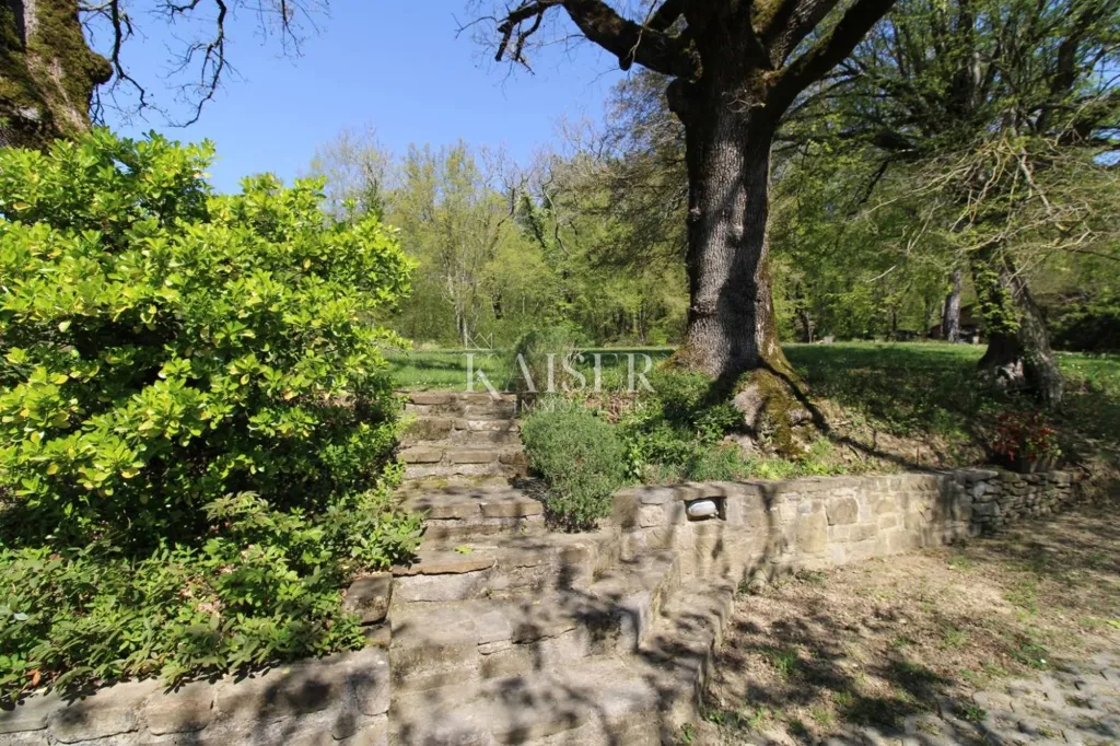 Jardin - Country House with Large Garden in Buzet