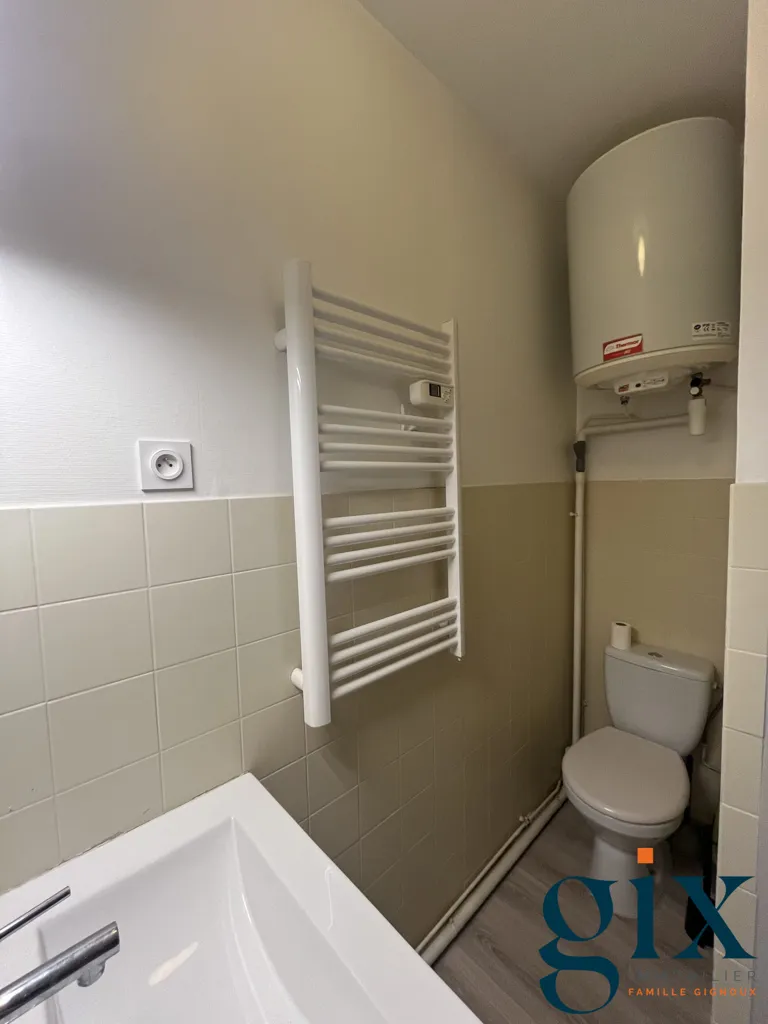 Vannitoad - Charming 1-Bedroom Flat in Grenoble