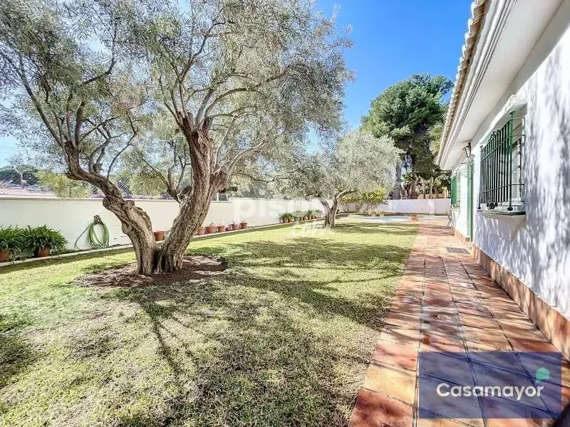 Jardin - Chalet with Pool in Vistahermosa