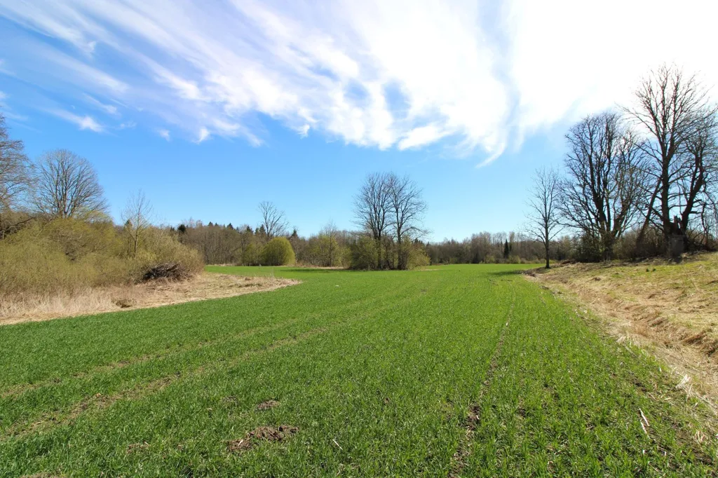 land_plot