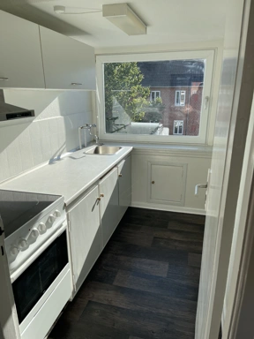 Kitchen - Renovated 2-Bedroom Flat near Aalborg Centre