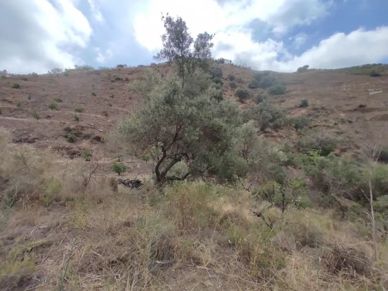 Jardin - Two Large Plots with Panoramic Views near Sayalonga