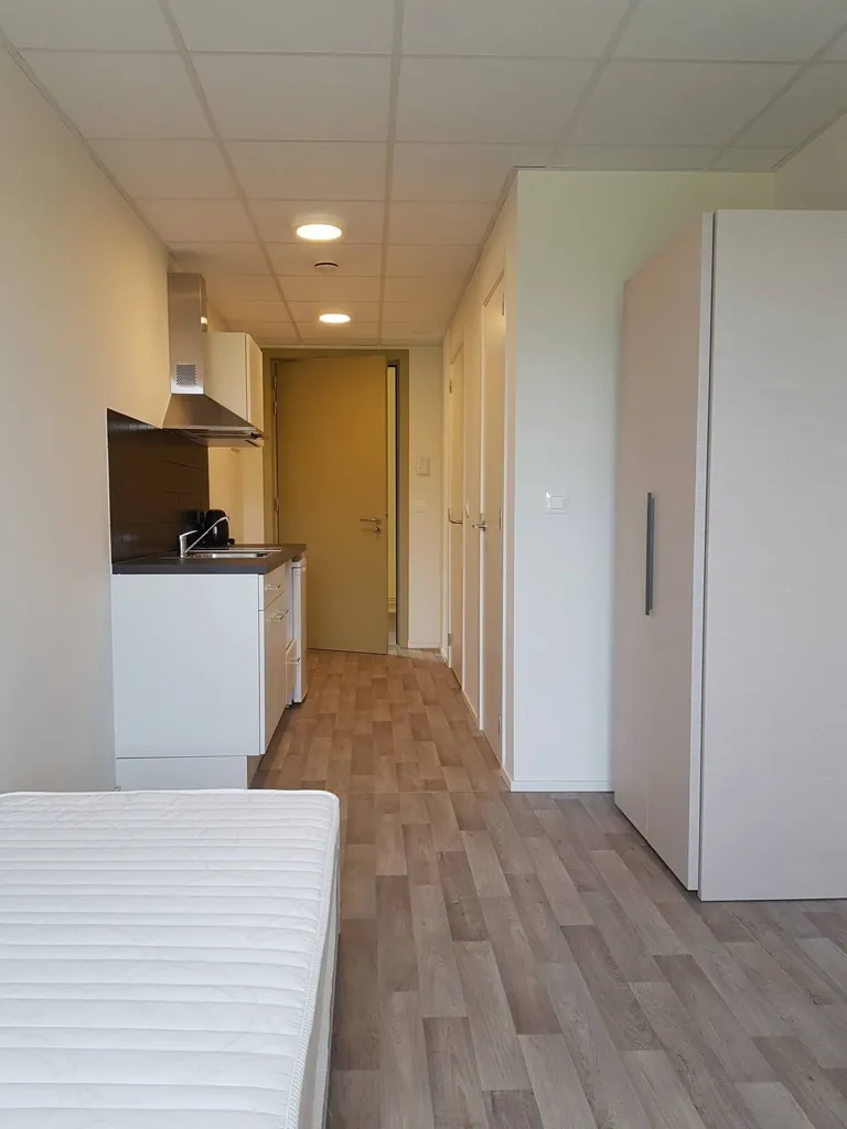Magamistoad - Student Apartment with Study Space in Maastricht