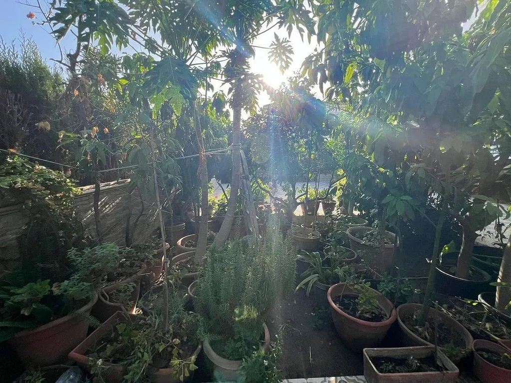 Aed - Terraced House with Pool in Estepona Centre