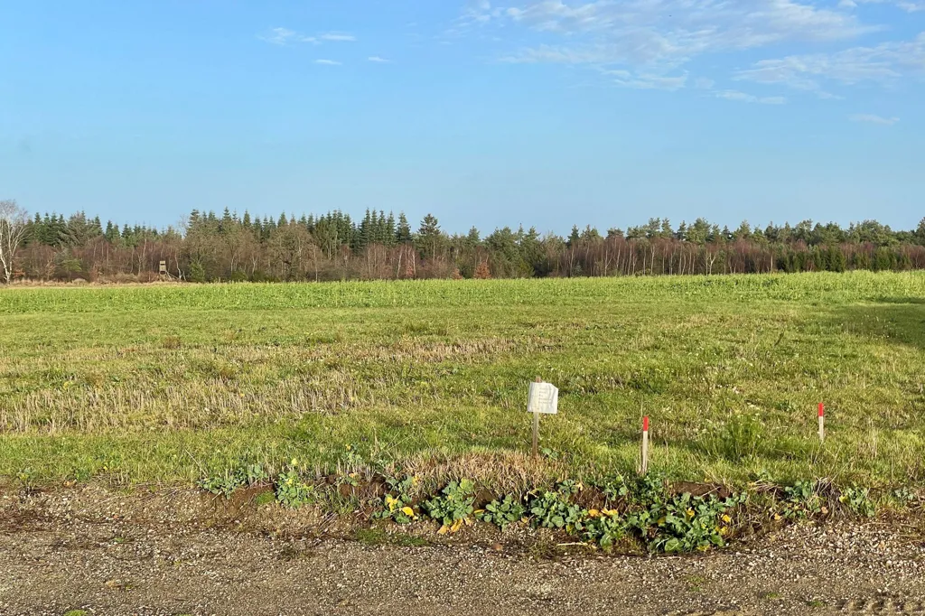 Jardin - Year-Round Plot in Glesborg