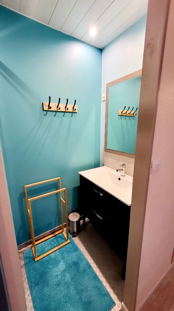 Bathrooms - Renovated Apartment with Open Kitchen in Carcassonne