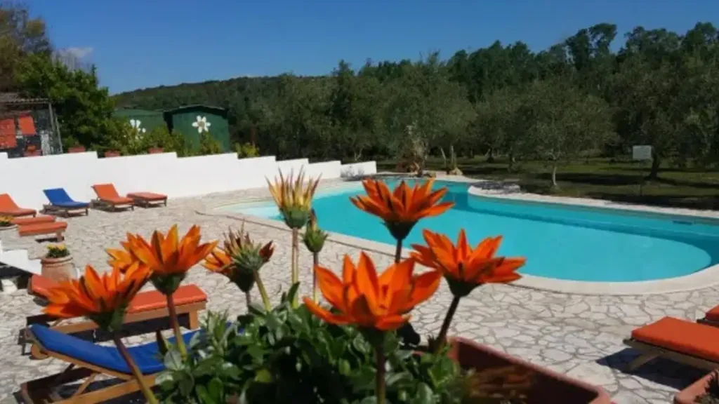 Piscine - Rustic Villa with Pool in Alghero