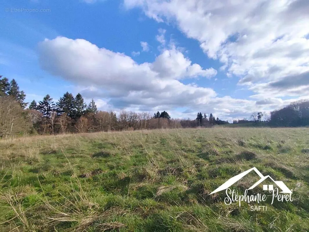 Jardin - Terrain Agricole à Meymac pour Projet Rural