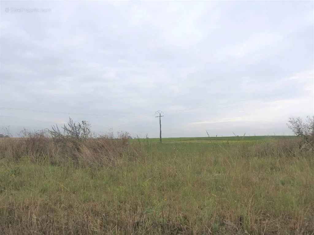 Aed - Buildable Plot with Positive Planning in Cauroir