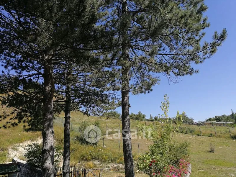Giardino - Duplex con giardino in affitto a Tagliacozzo