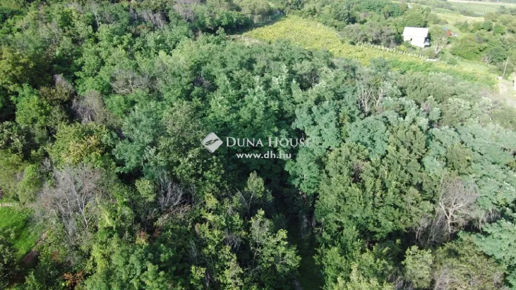 Vista aerea - Rural Plot with Panoramic View in Köveskál