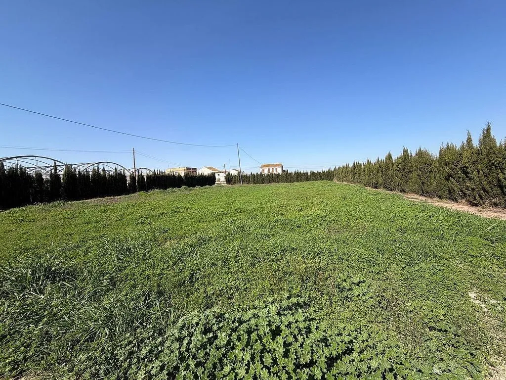 Jardin - Rustic Farmhouse with Land near Huerta