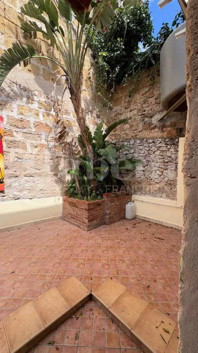 Jardin - Loft with Terrace in Mondello, Palermo