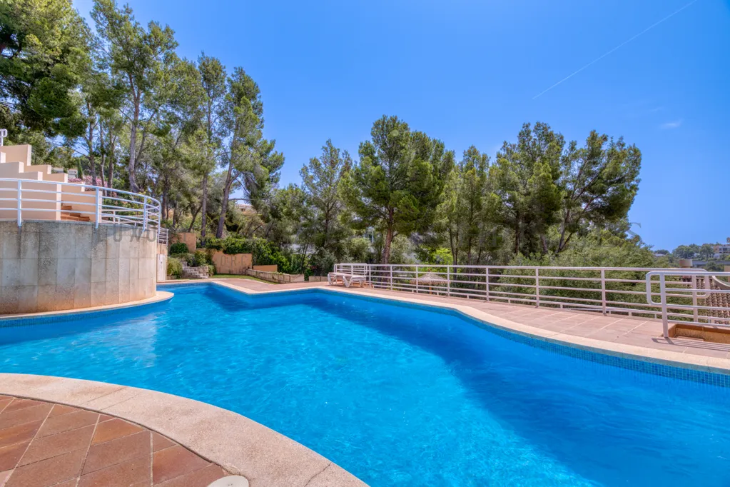 Piscine - Refurbished Penthouse with Rooftop Pool in Bendinat