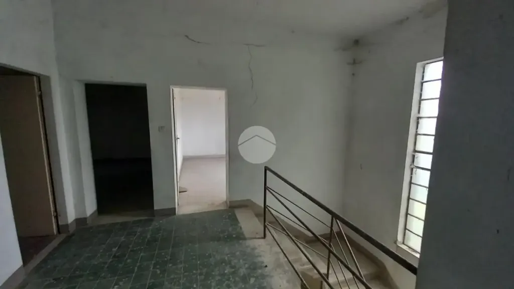 Toad - Rustic Property with Garden in Lugo