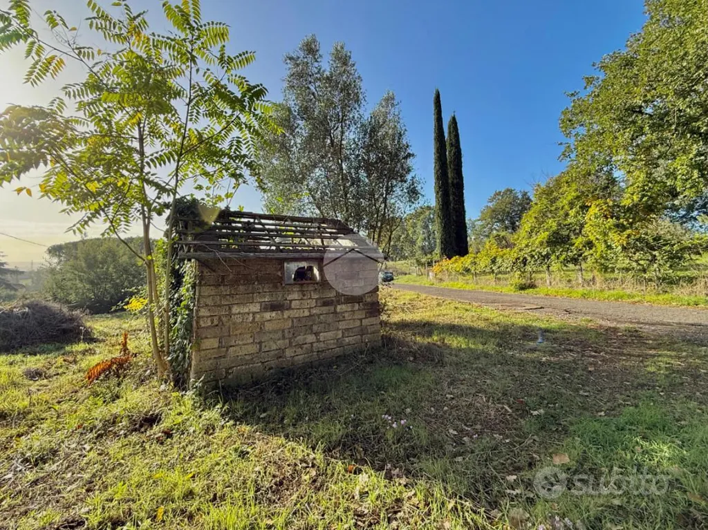 Rustico with Demolition Potential in Nepi