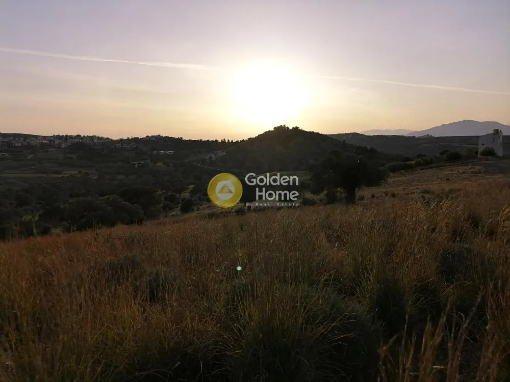 Aed - Agricultural Plot with Panoramic Views in Phaistos