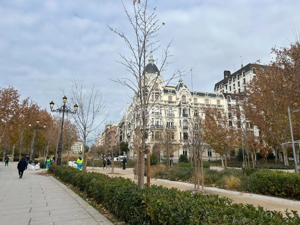 Commercial Property with Lottery Office in Madrid
