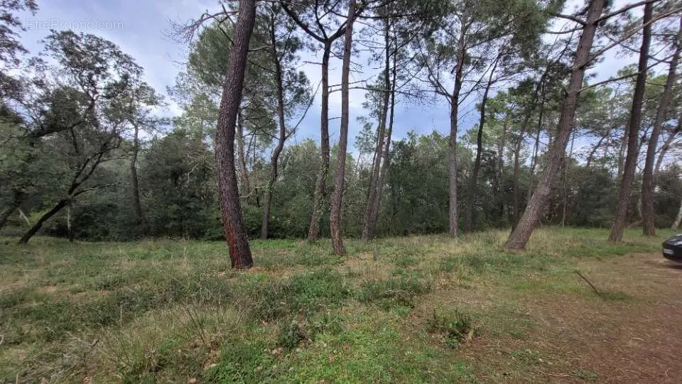 Aed - Wooded Plot with Garden in Suze-La-Rousse