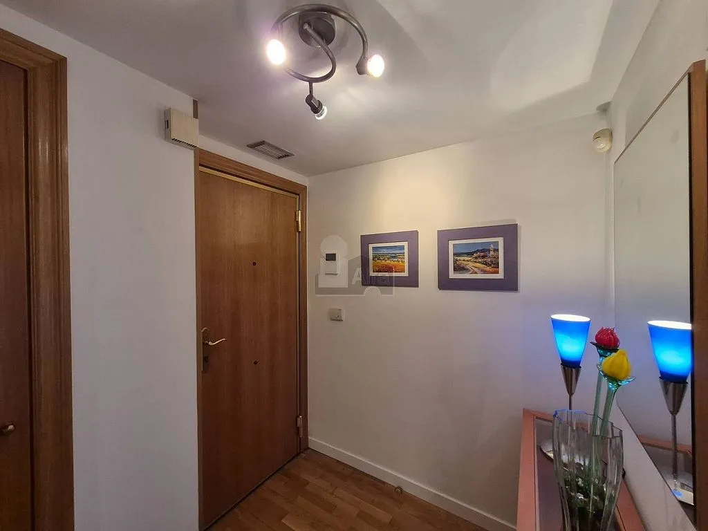 Hallway - 1-Bed Flat with Garden on Avenida Francia