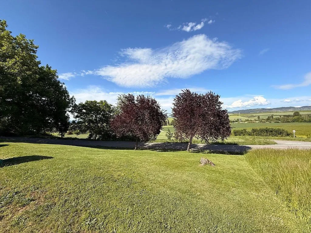 Garden - Terraced Semi-Detached House in Aranguren