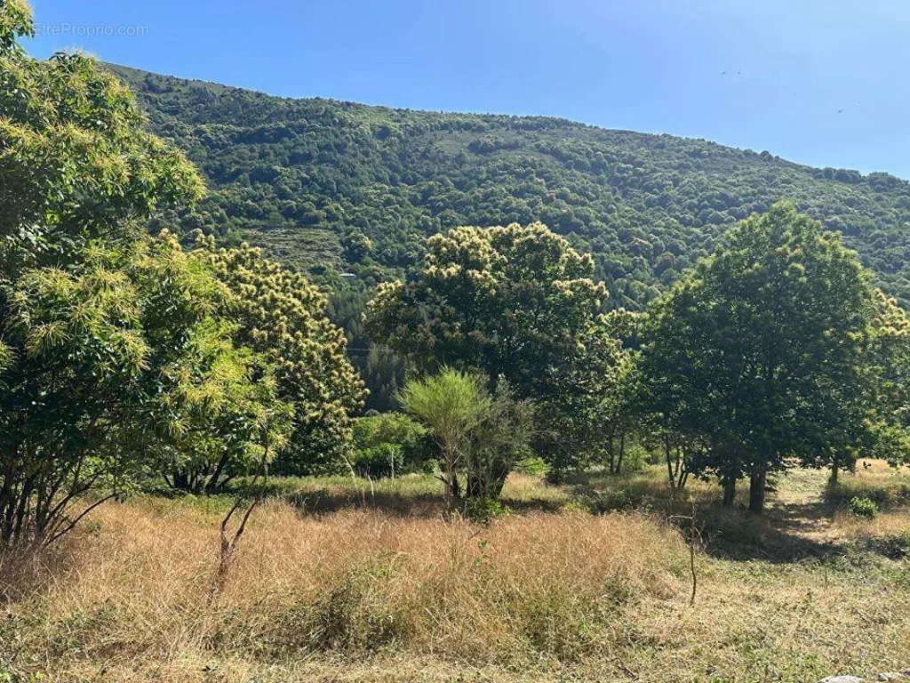 Aed - Constructible Plot with Mountain Views in Ardèche