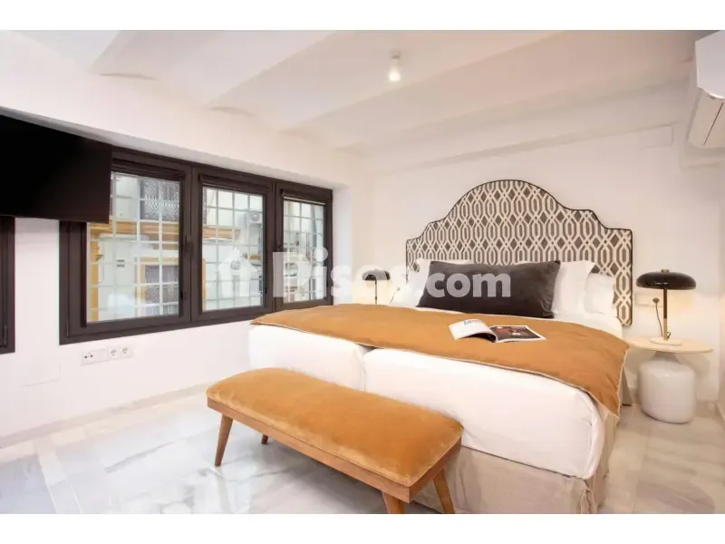 Magamistoad - Duplex with Central Location in Seville