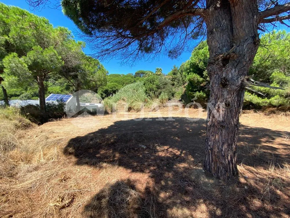 Aed - Buildable Plot with Sea Views in Supermaresme
