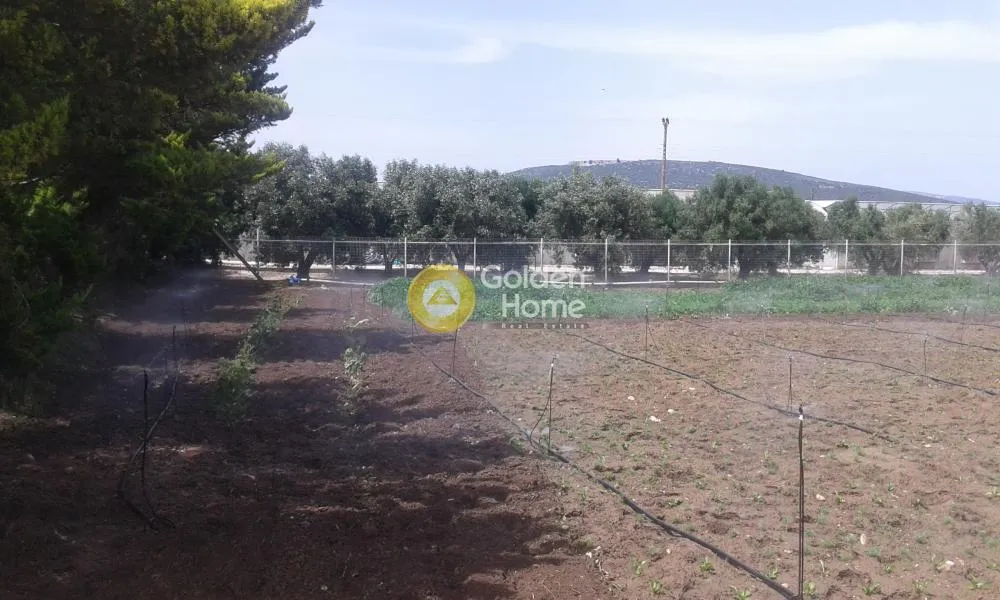 Aed - Agricultural Plot with Unrestricted View in Marathon Centre