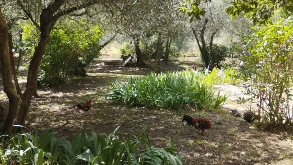 Giardino - Panoramic Apartment with Garden in Settignano, Florence