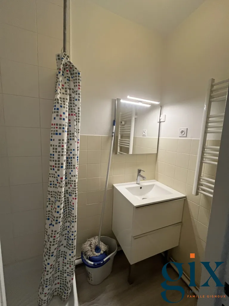 Vannitoad - Charming 1-Bedroom Flat in Grenoble