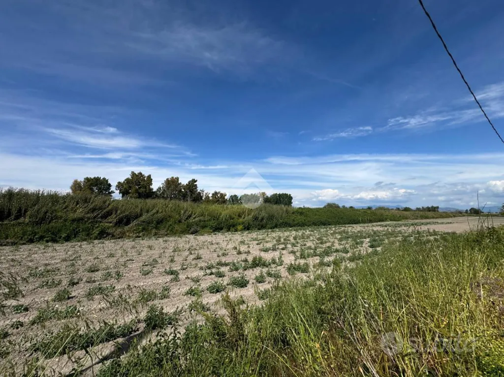 Jardin - Agricultural Land on Casaluce Highway