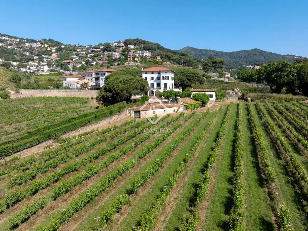Vue aérienne - Historic Country House with Vineyards in Alella